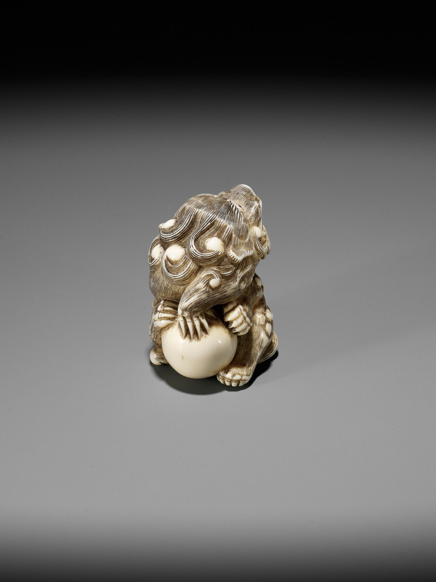 A POWERFUL IVORY NETSUKE OF A SNARLING SHISHI WITH BALL, ATTRIBUTED TO MITSUHARU - Image 10 of 14