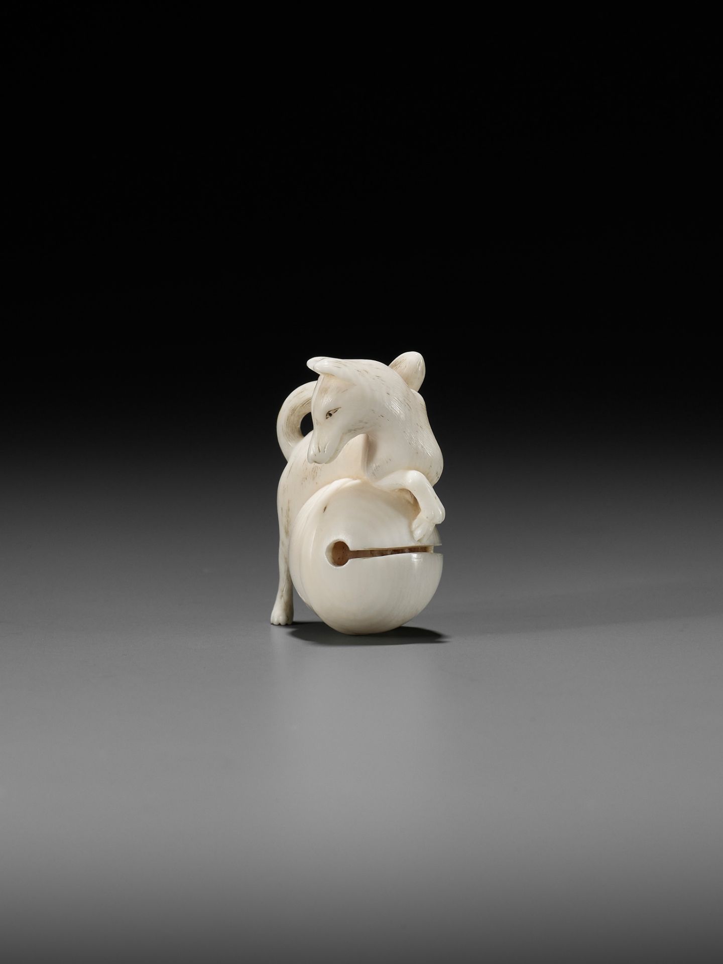 RANTEI: A FINE IVORY NETSUKE OF A FOX WITH TEMPLE BELL - Image 6 of 12