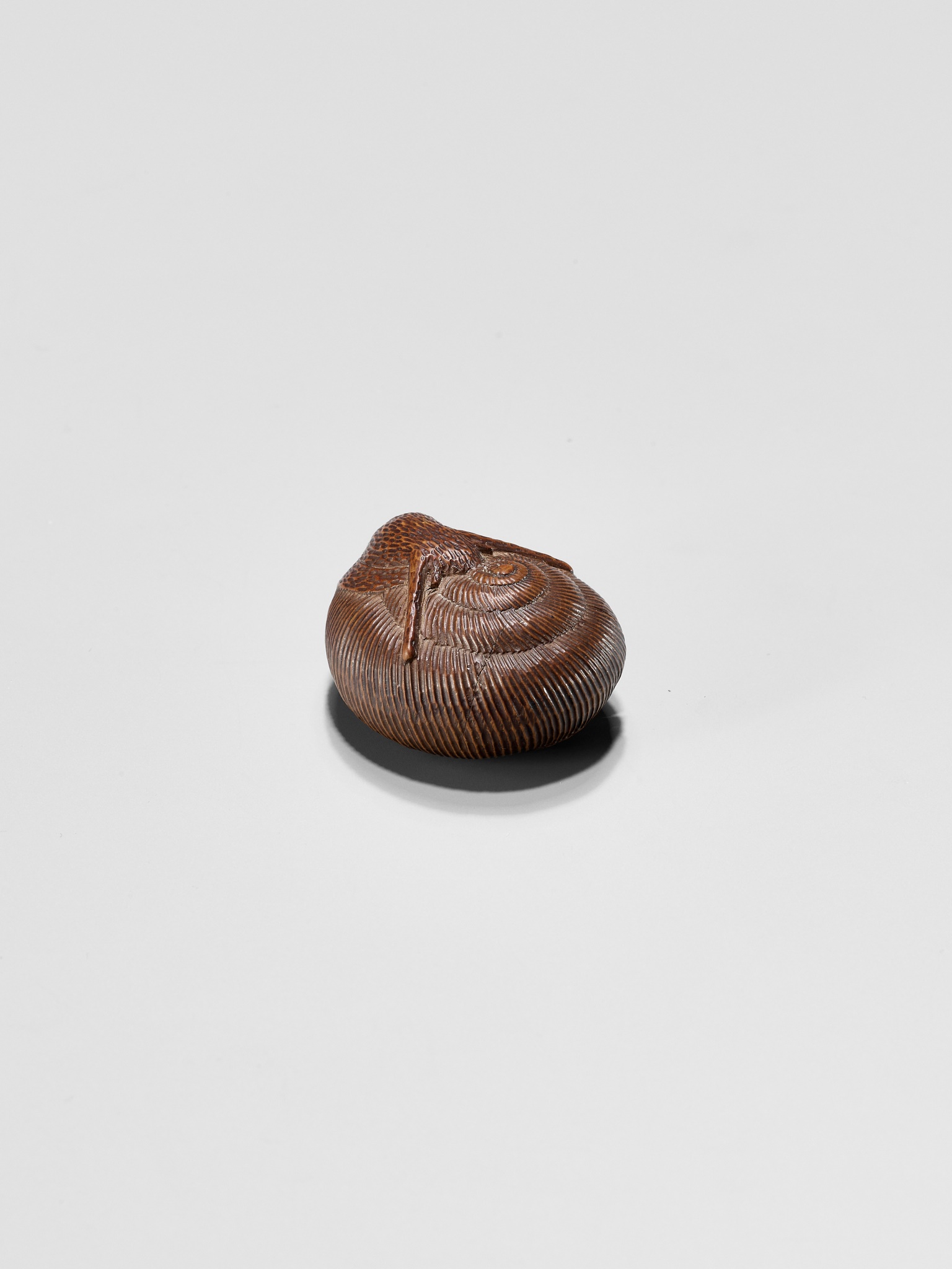 SARI: A FINE WOOD NETSUKE OF A SNAIL EMERGING FROM ITS SHELL - Image 9 of 12