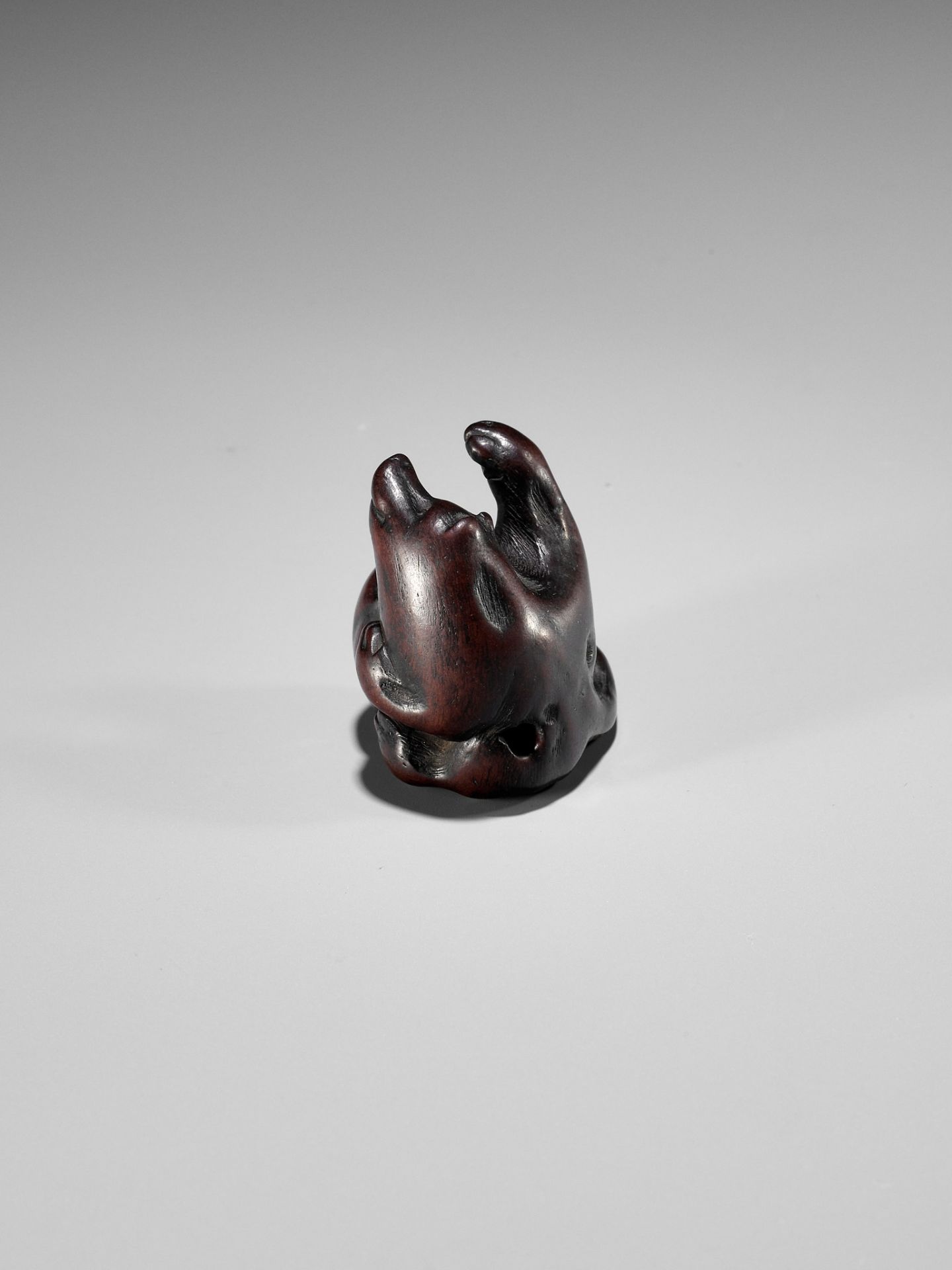 ITTAN: A WOOD NETSUKE DEPICTING TANUKI NO HARA TSUZUMI - Image 7 of 10