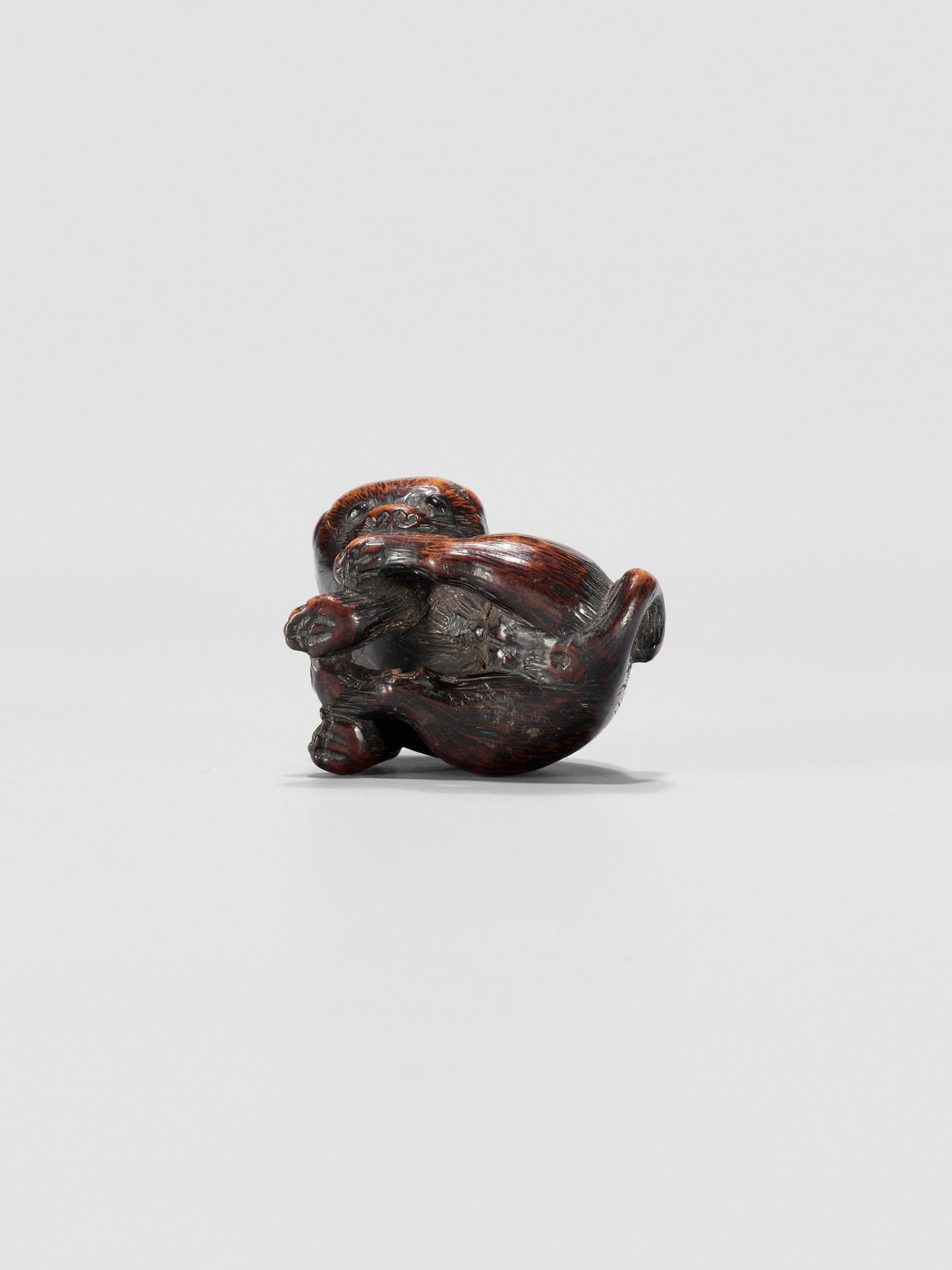 A WOOD NETSUKE OF A PUPPY - Image 10 of 10