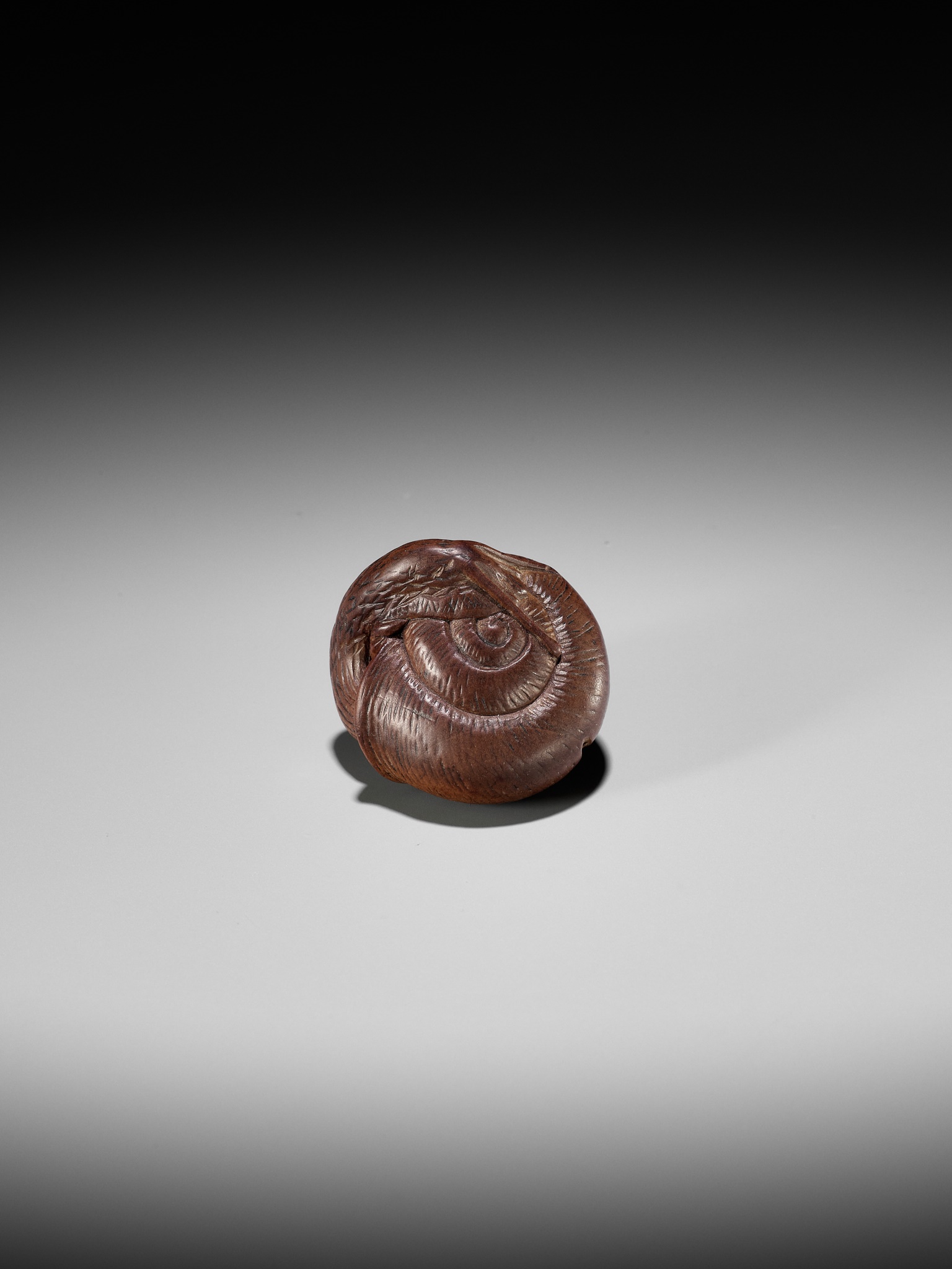 YASUTADA: A WOOD NETSUKE OF A SNAIL EMERGING FROM ITS SHELL - Image 11 of 13