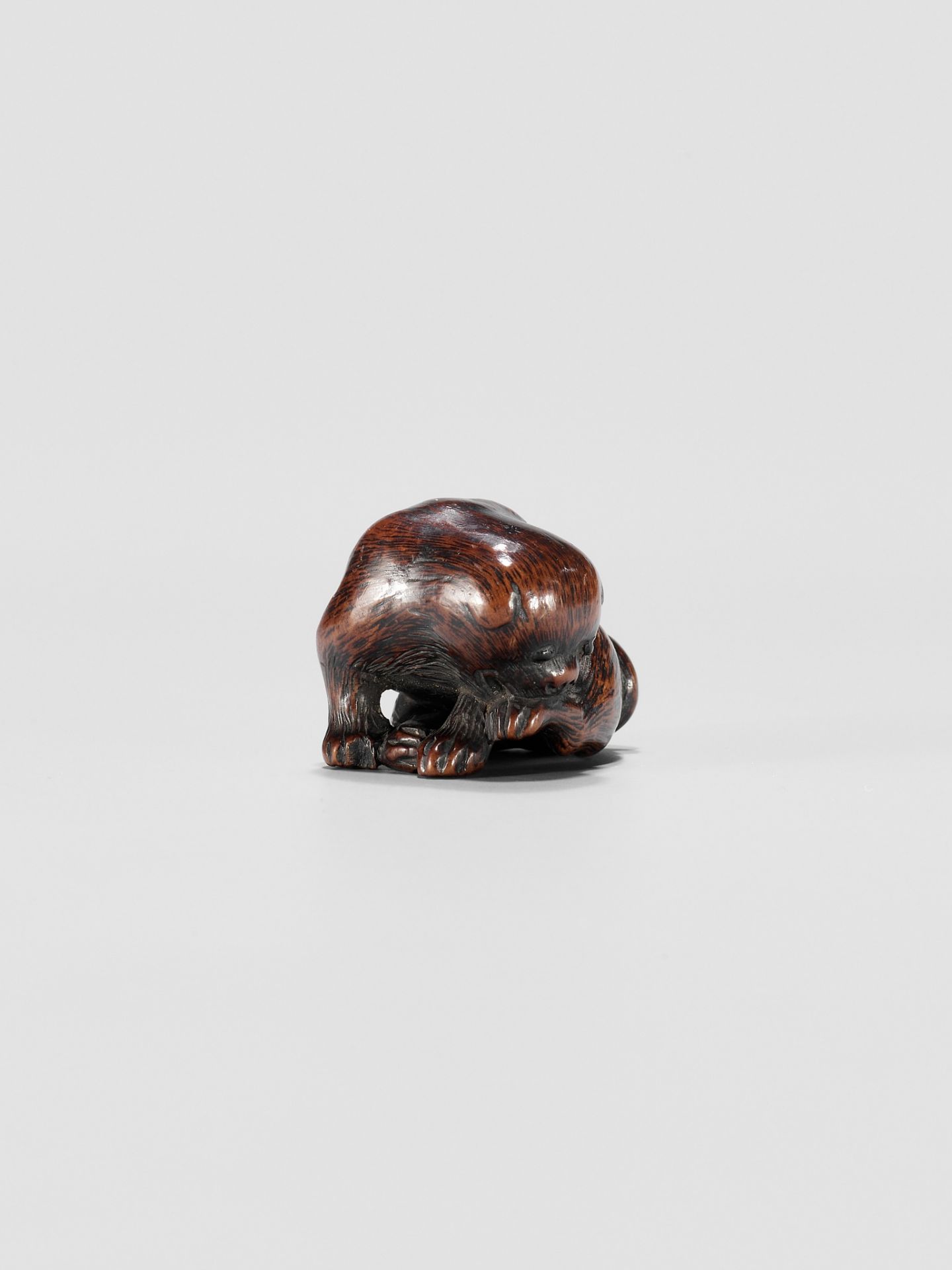 A WOOD NETSUKE OF A PUPPY - Image 7 of 10