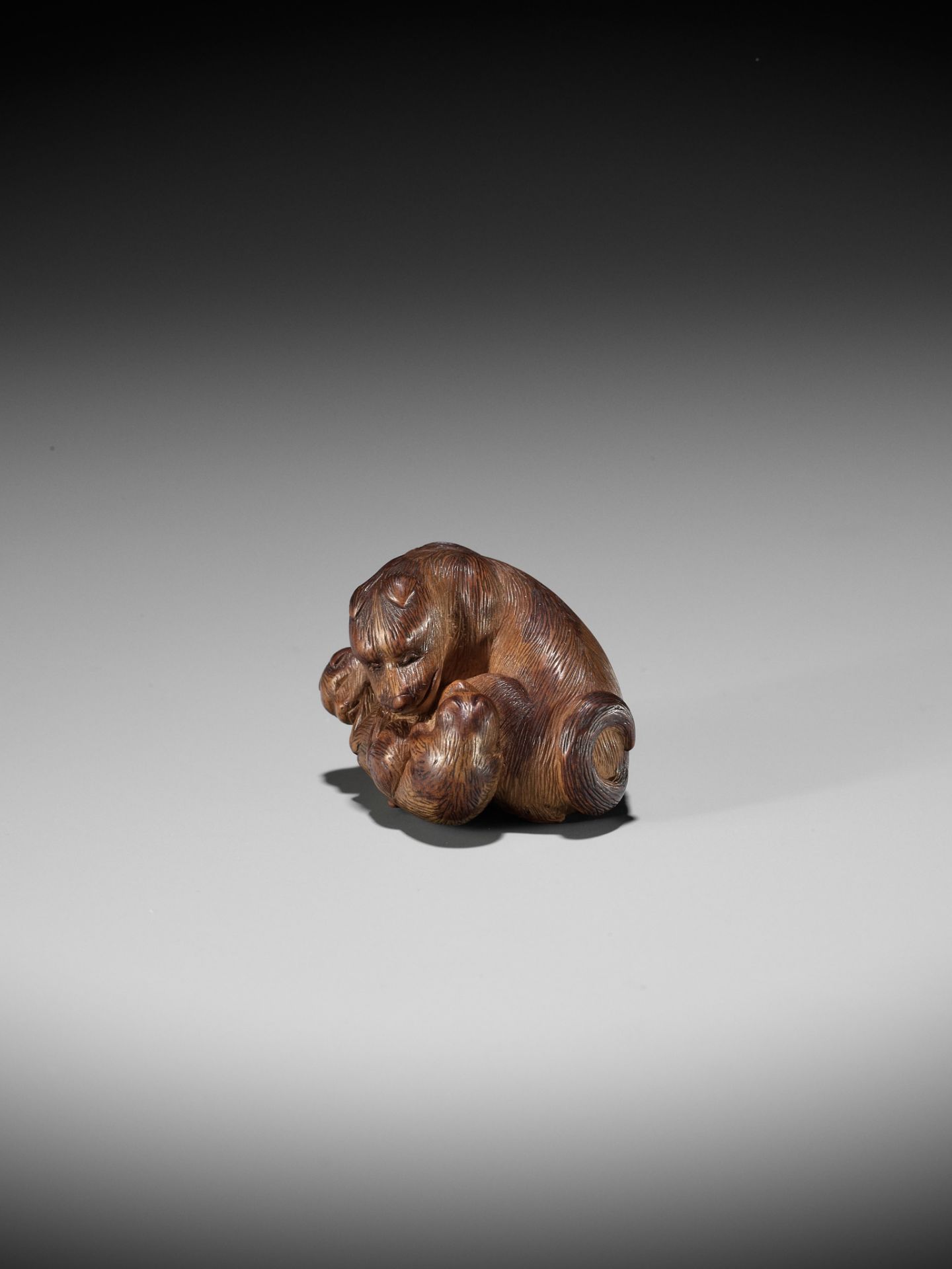 SHIGEHIRO: A CHARMING WOOD NETSUKE OF A DOG AND TWO PUPS - Bild 3 aus 13