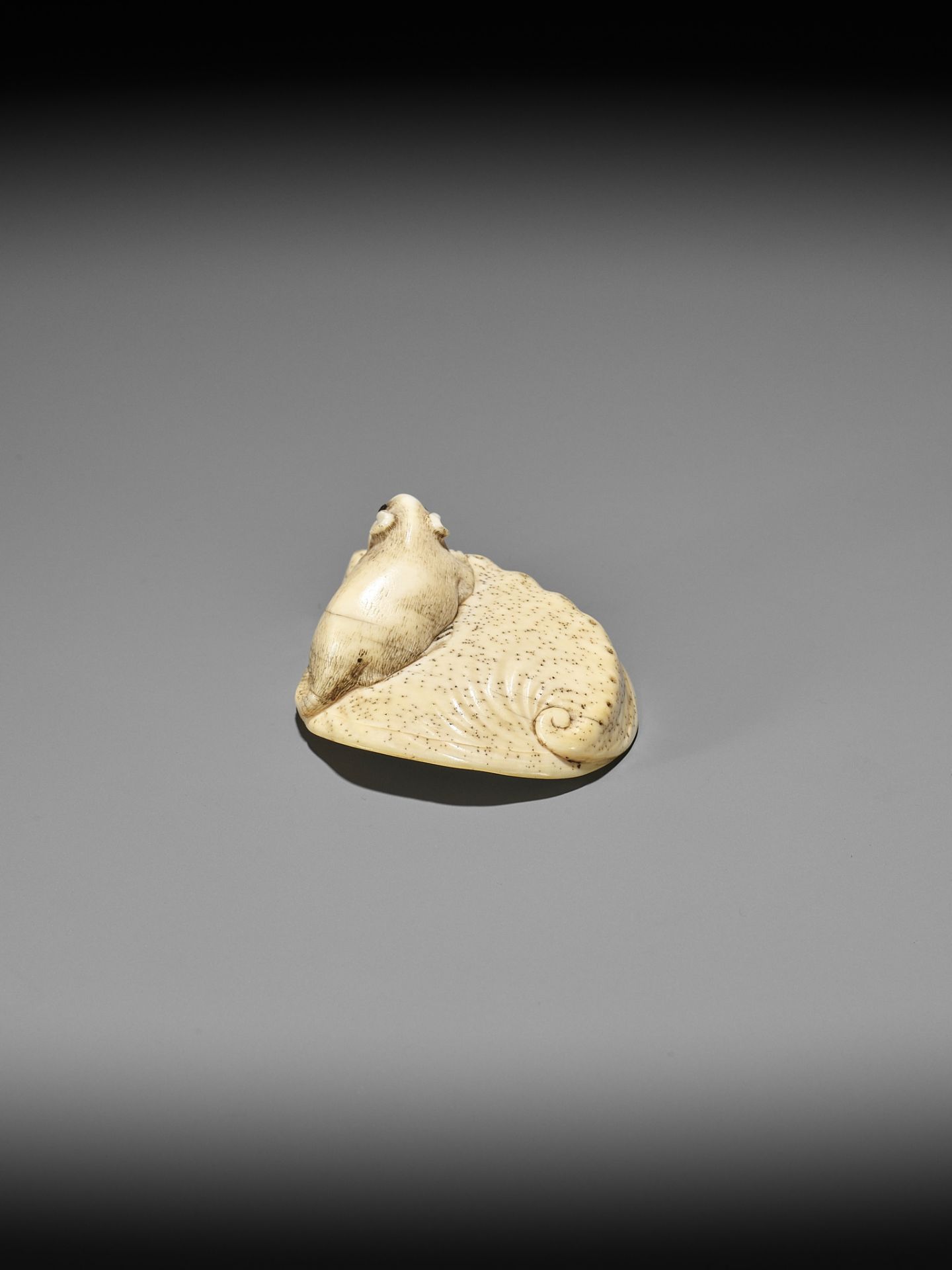 AN IVORY NETSUKE OF A RAT ON AWABI SHELL - Image 5 of 12