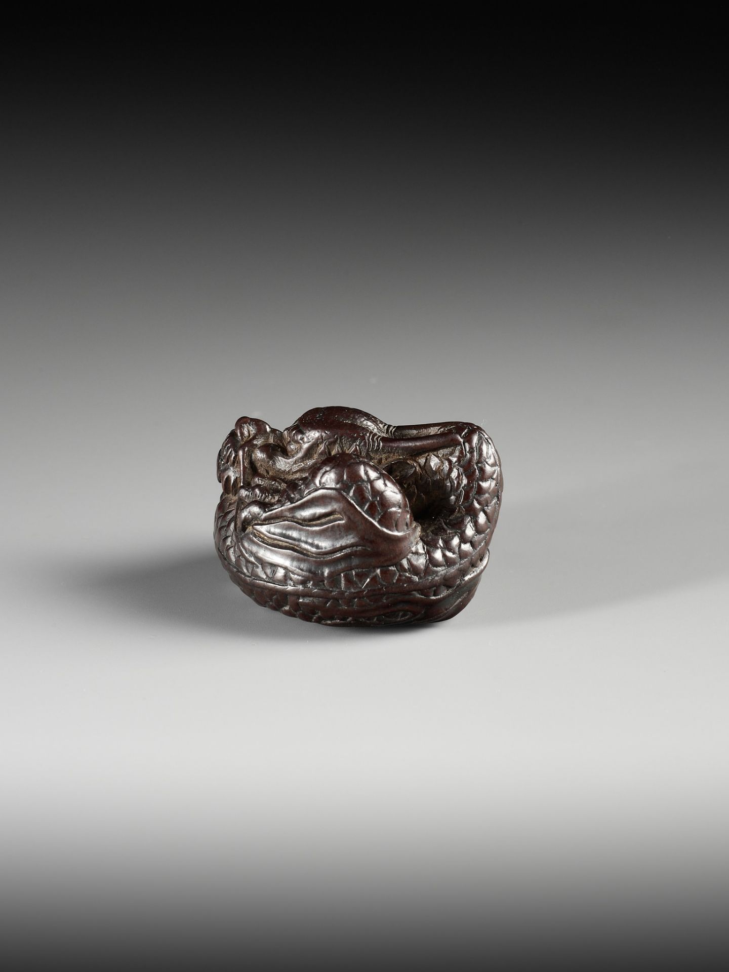 A SUPERB WOOD NETSUKE OF A COILED DRAGON, ATTRIBUTED TO TAMETAKA - Image 8 of 11