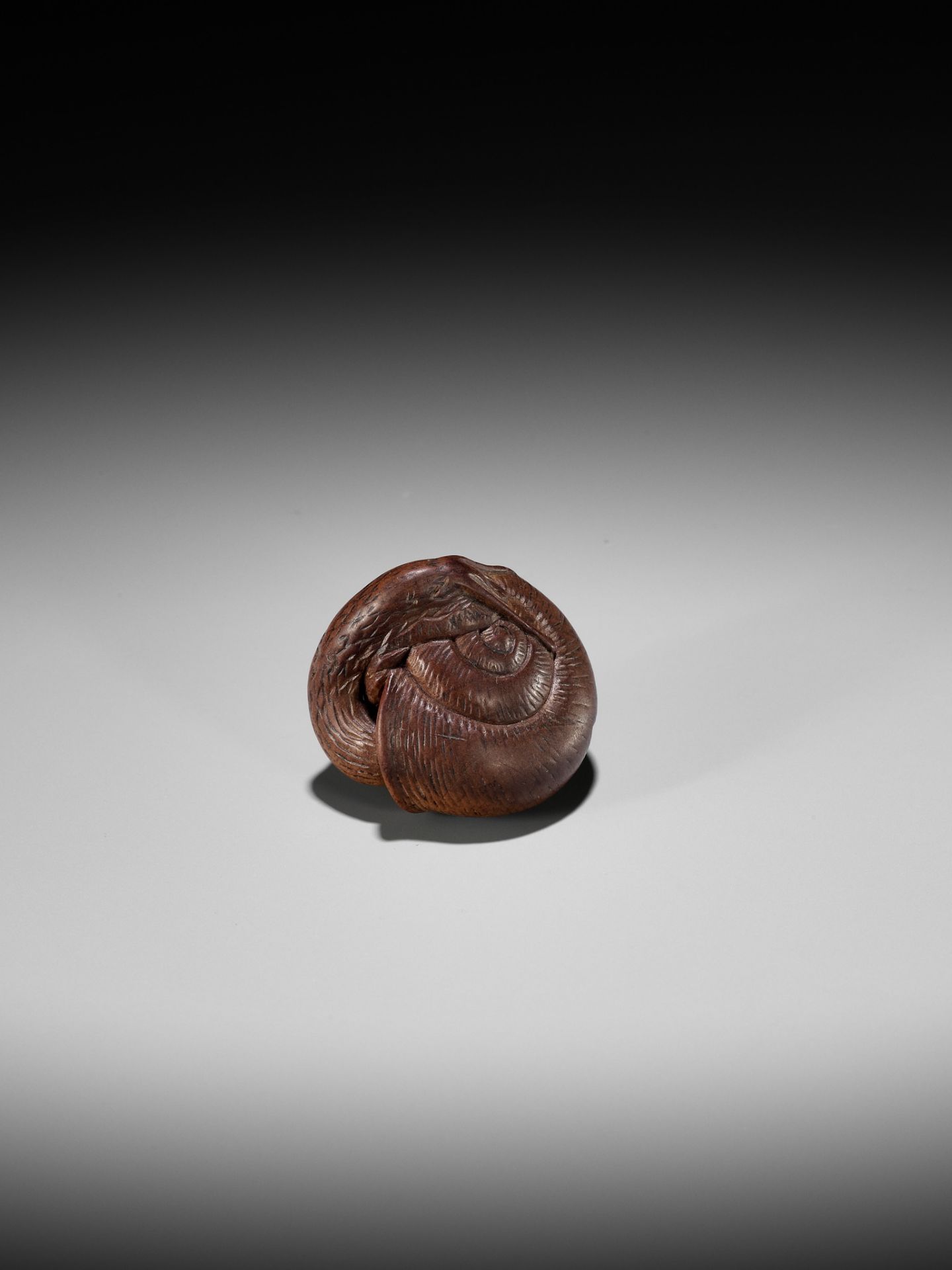 YASUTADA: A WOOD NETSUKE OF A SNAIL EMERGING FROM ITS SHELL - Image 10 of 13