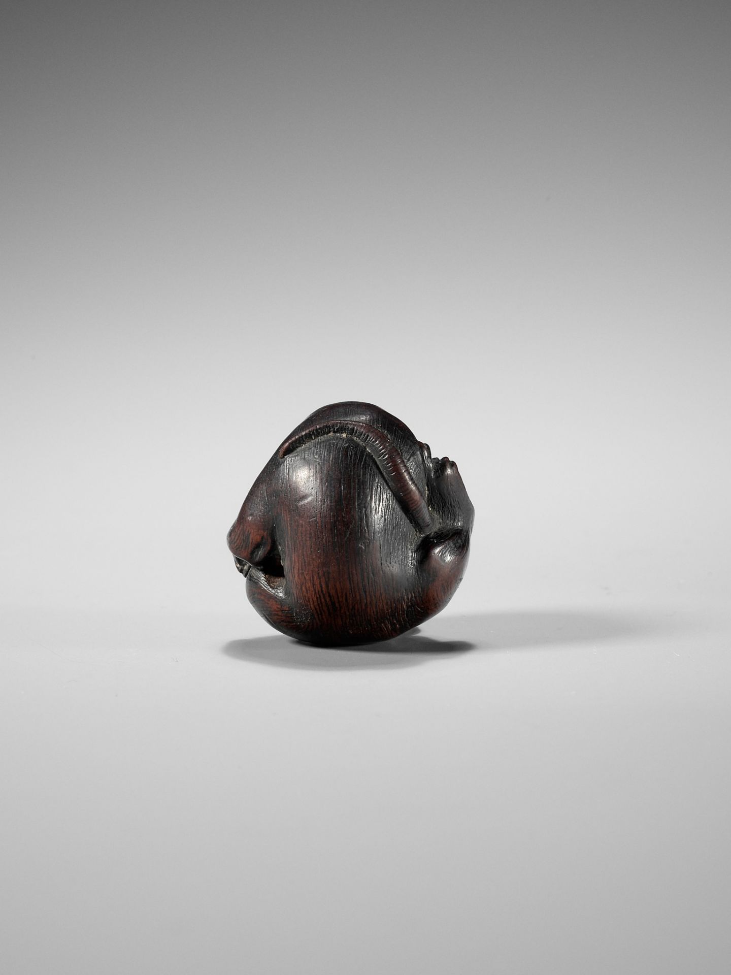 MINICHI: A RARE NAGOYA SCHOOL WOOD NETSUKE OF A COILED RAT LICKING ITSELF - Image 7 of 10