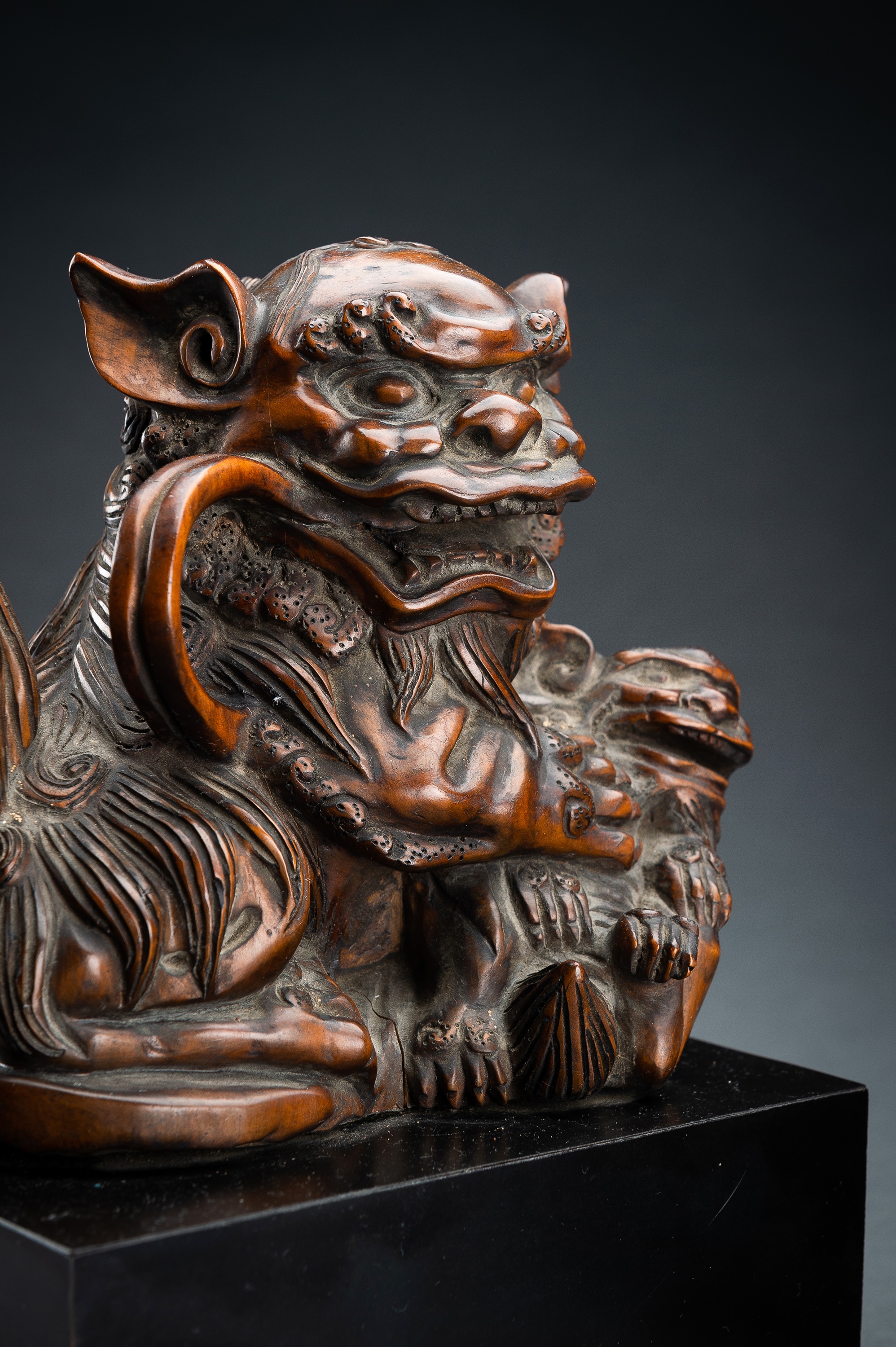 A PAIR OF FINE BOXWOOD 'BUDDHIST LION' CARVINGS, QING - Image 14 of 16