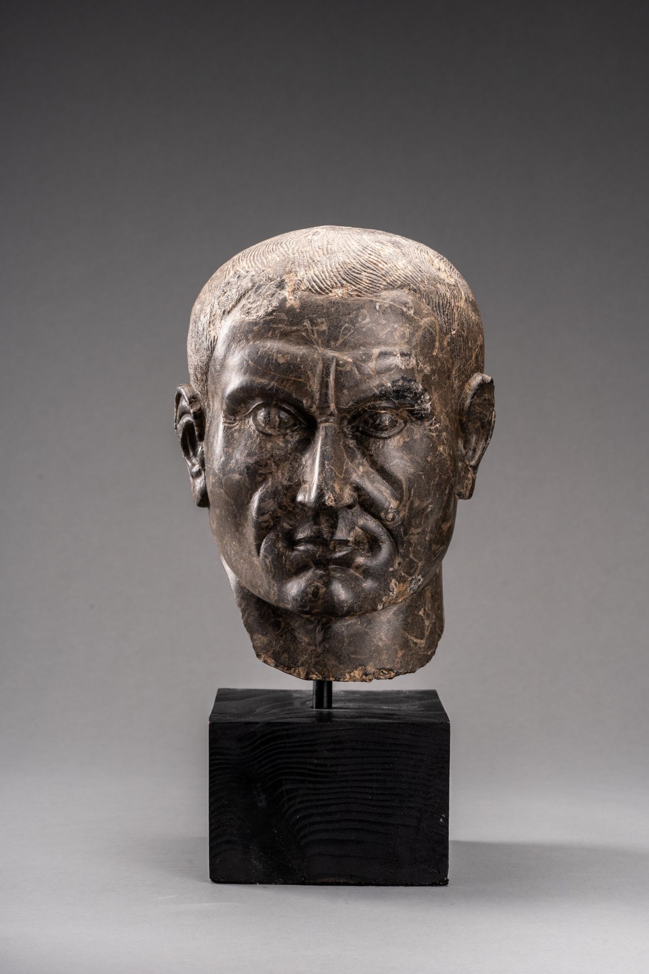 A ROMAN LIMESTONE PORTRAIT HEAD OF JULIUS CAESAR, AUGUSTAN PERIOD - Image 2 of 8