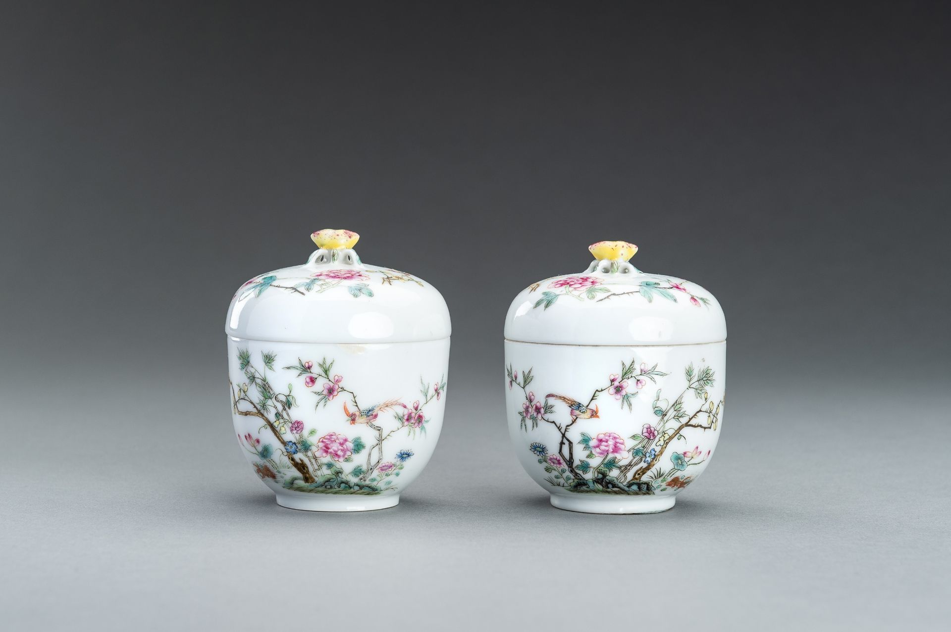 A SMALL PAIR OF ENAMELED BOWLS AND COVERS, GUANGXU MARK AND PERIOD