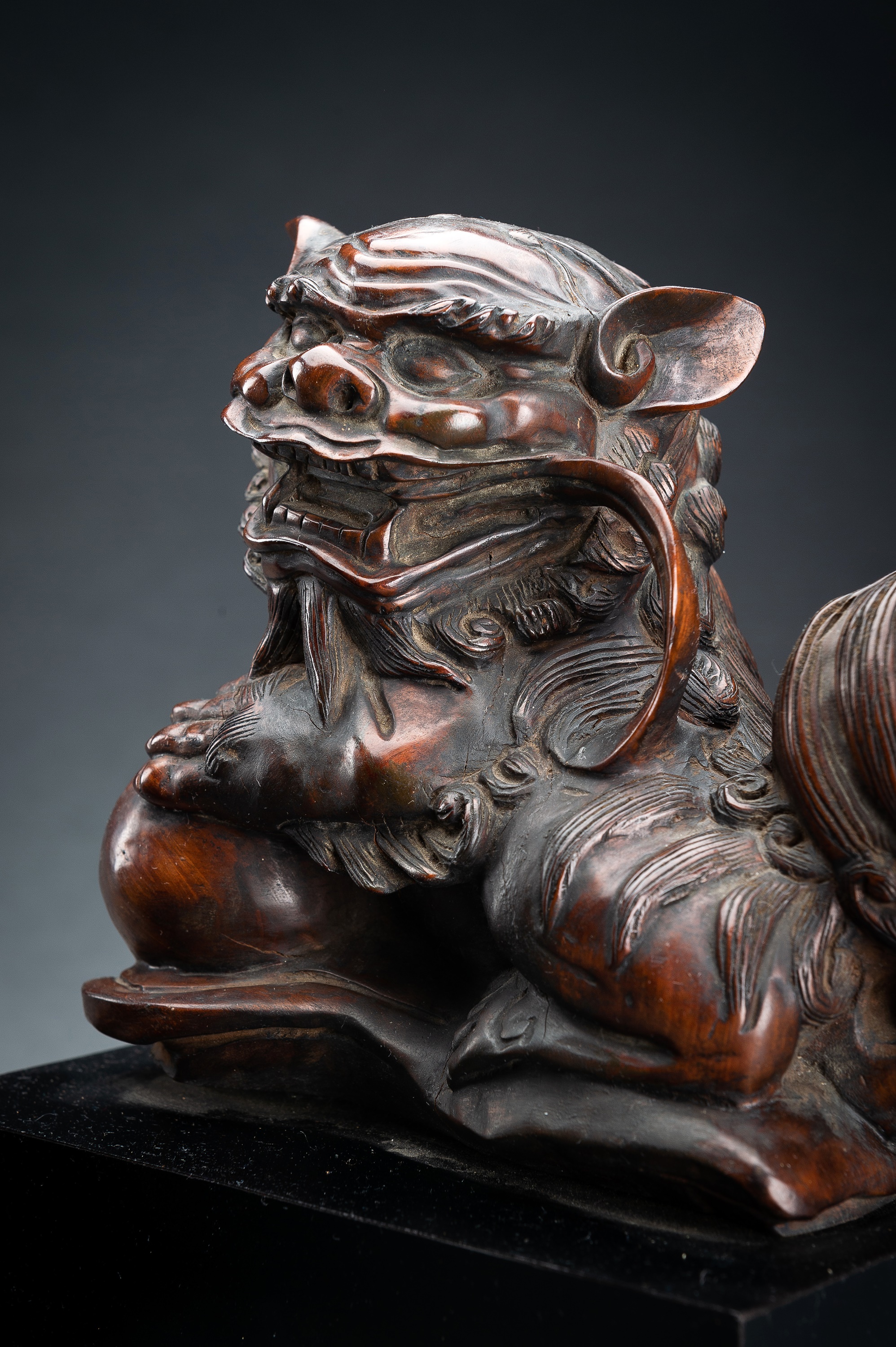 A PAIR OF FINE BOXWOOD 'BUDDHIST LION' CARVINGS, QING - Image 9 of 16