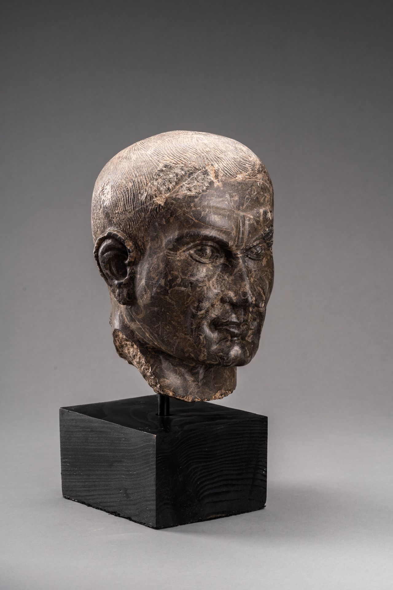 A ROMAN LIMESTONE PORTRAIT HEAD OF JULIUS CAESAR, AUGUSTAN PERIOD - Image 3 of 8