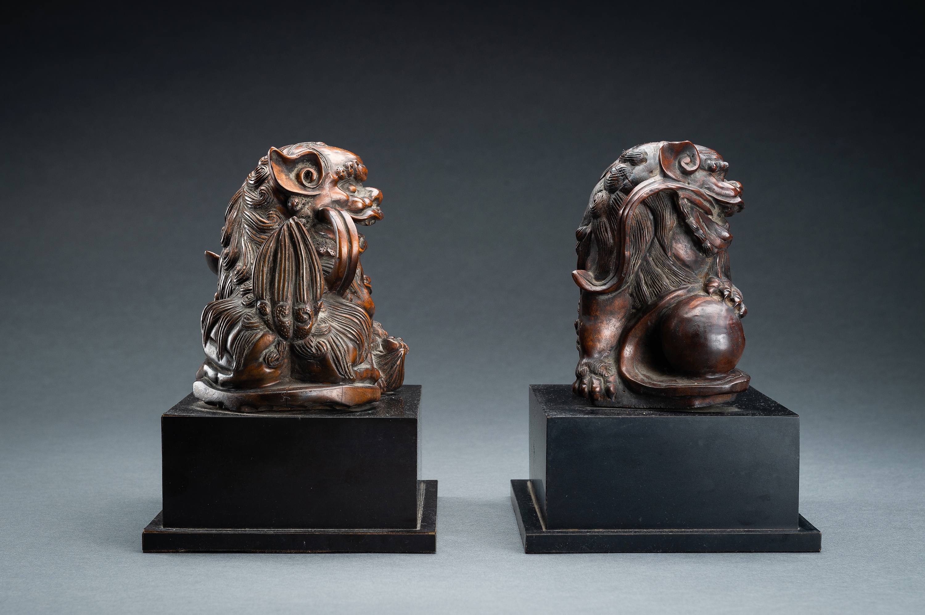 A PAIR OF FINE BOXWOOD 'BUDDHIST LION' CARVINGS, QING - Image 11 of 16