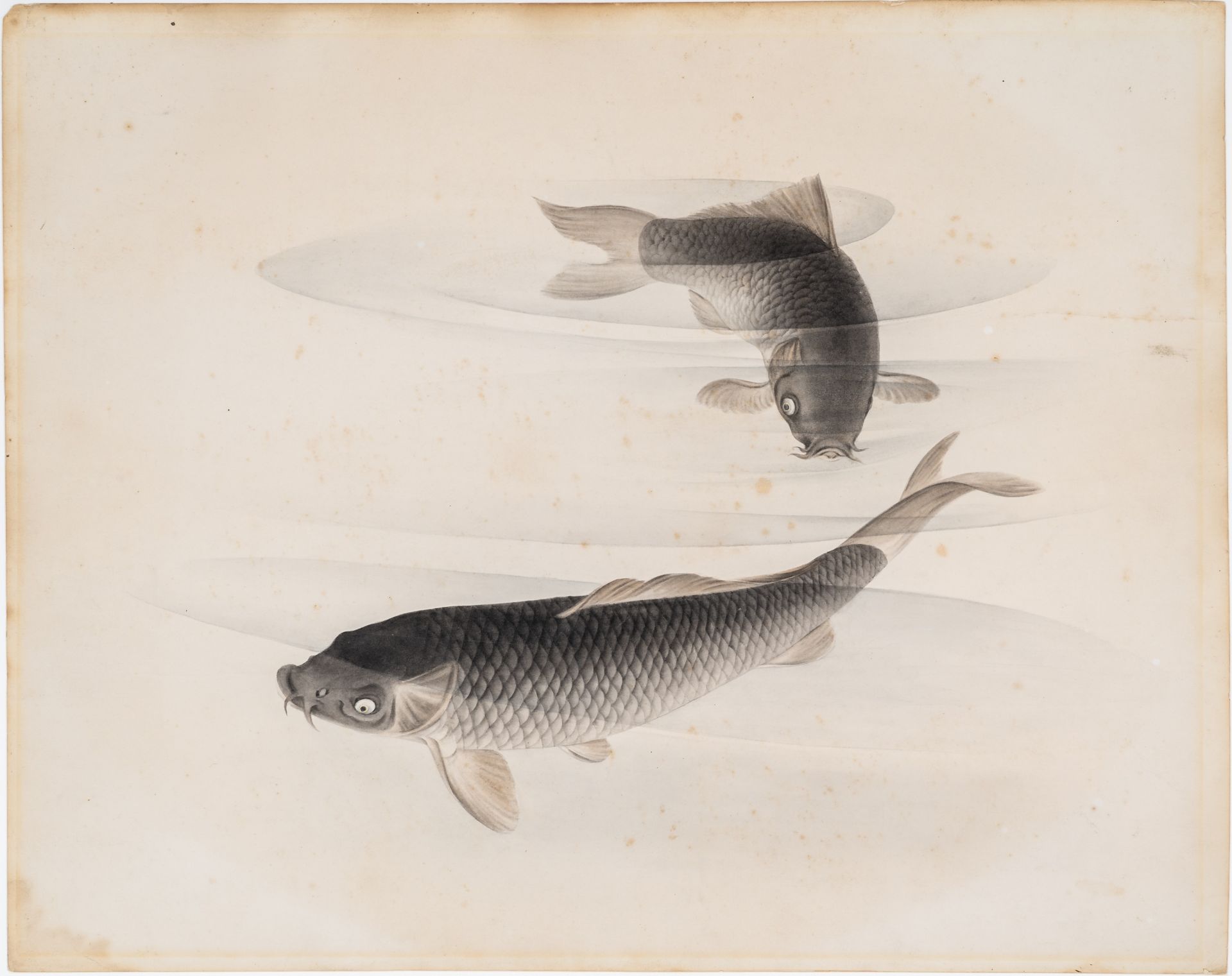 A WATERCOLOR PAINTING OF TWO CARPS, MEIJI