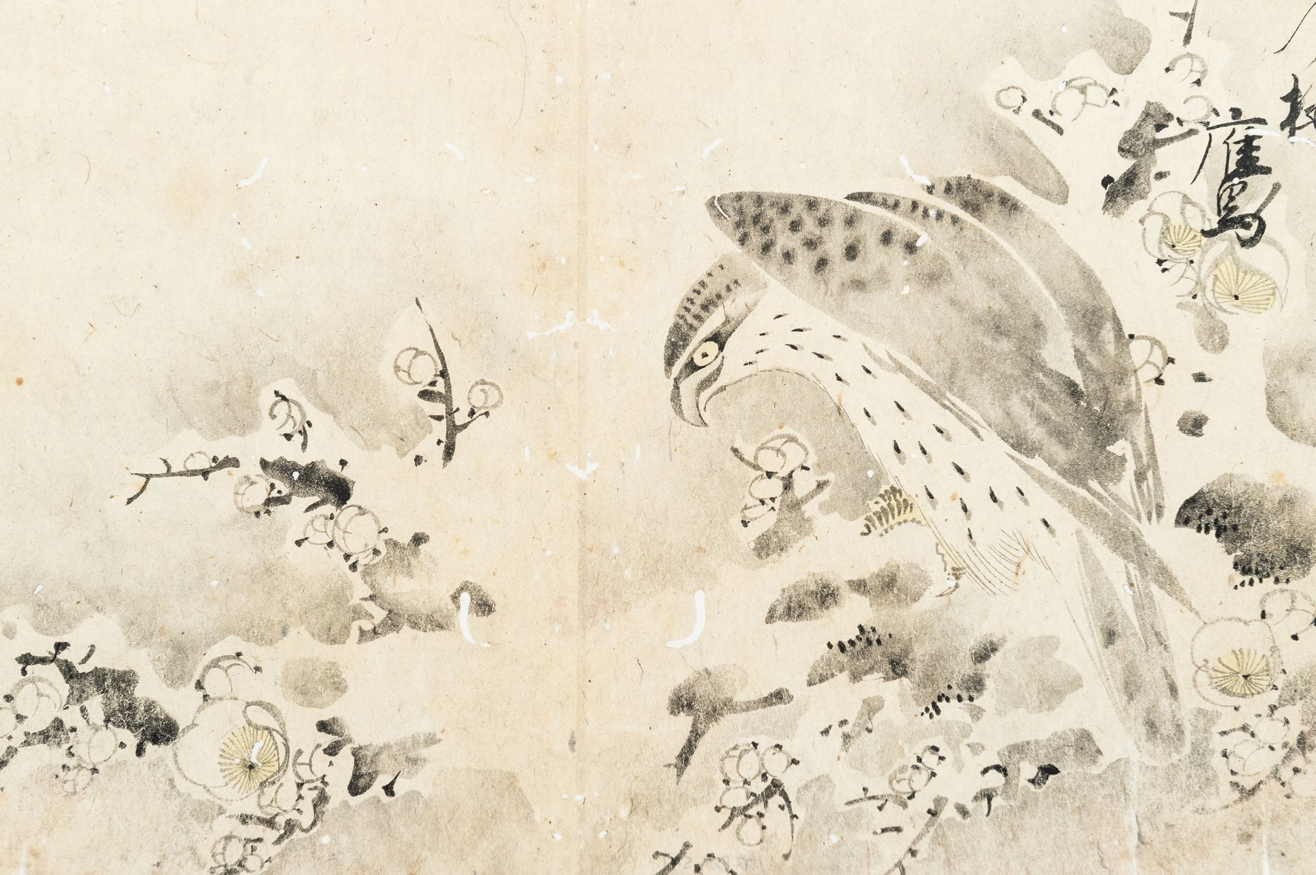 A SCROLL PAINTING OF A FALCON, EDO PERIOD - Bild 3 aus 8