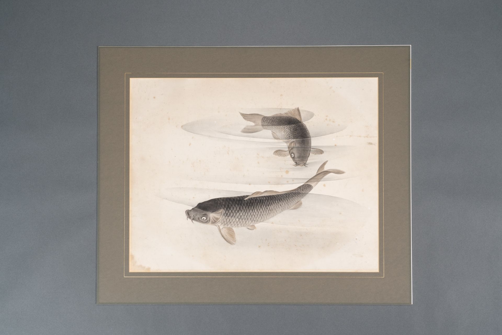 A WATERCOLOR PAINTING OF TWO CARPS, MEIJI - Bild 2 aus 6