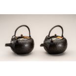 A PAIR OF CAST IRON SAKE EWERS CHOSHI WITH LACQUERED COVERS, 19th CENTURY