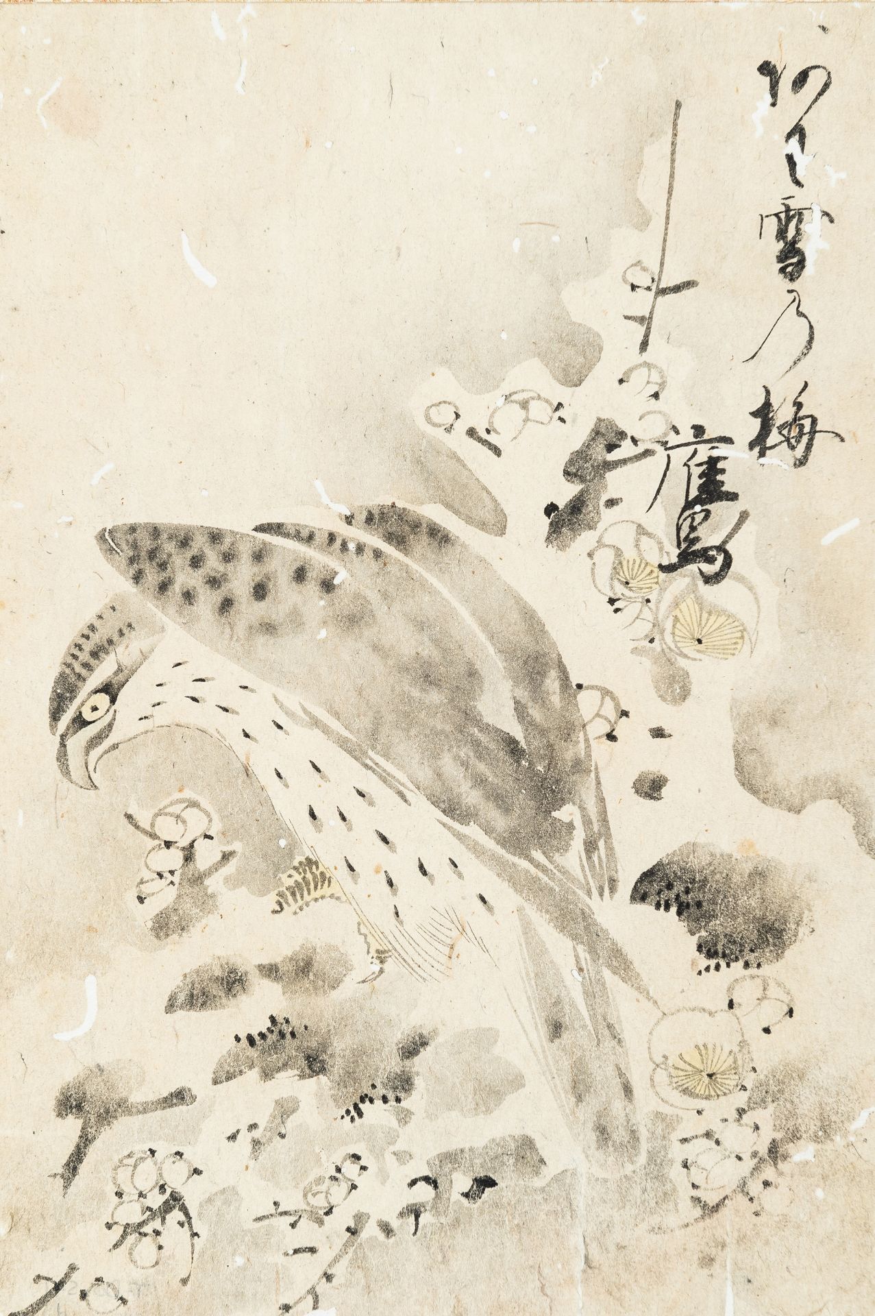 A SCROLL PAINTING OF A FALCON, EDO PERIOD - Bild 4 aus 8