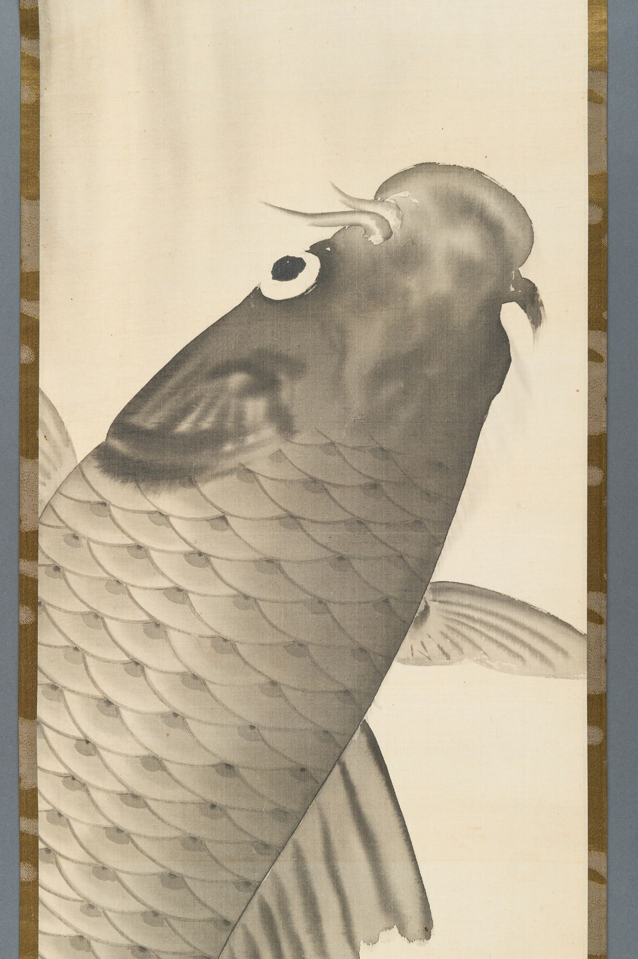 CARP', BY HISA - Bild 4 aus 8