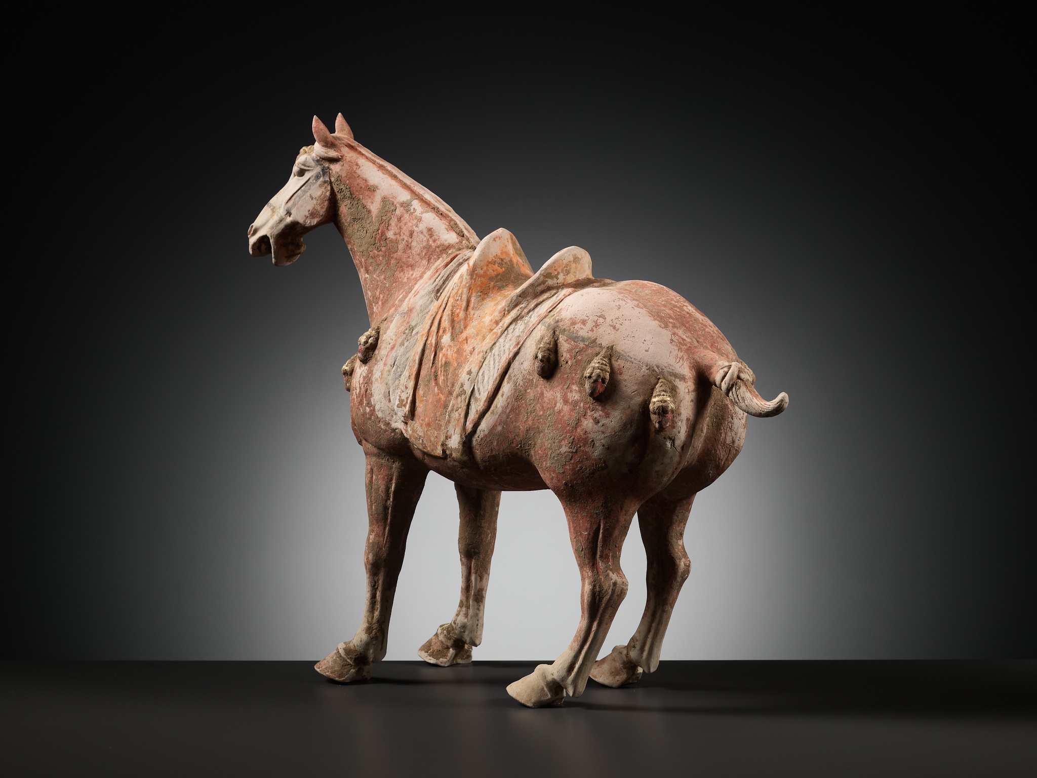 A PAINTED AND GILT POTTERY FIGURE OF A PRANCING HORSE, TANG DYNASTY - Image 10 of 12
