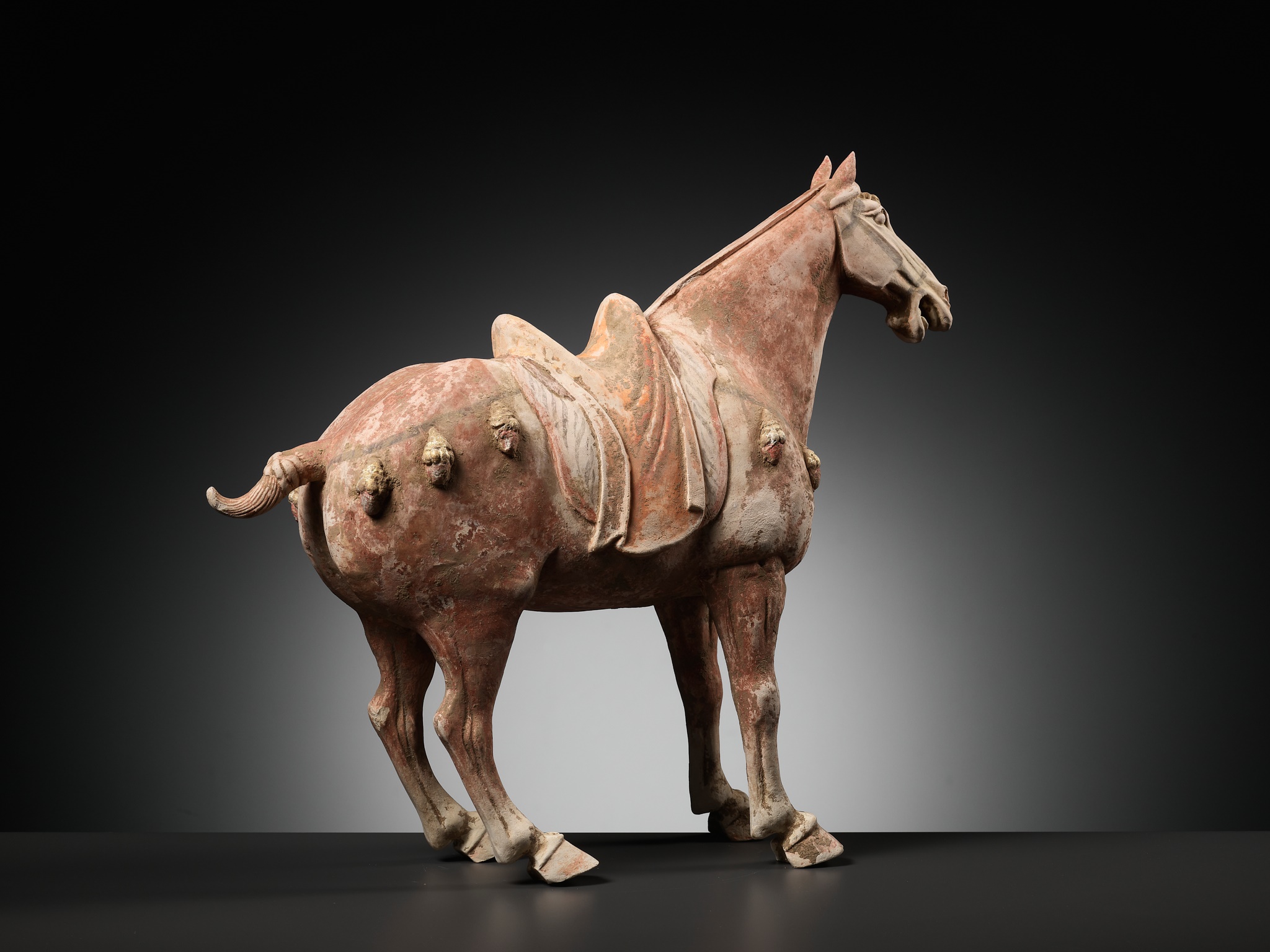 A PAINTED AND GILT POTTERY FIGURE OF A PRANCING HORSE, TANG DYNASTY - Image 9 of 12