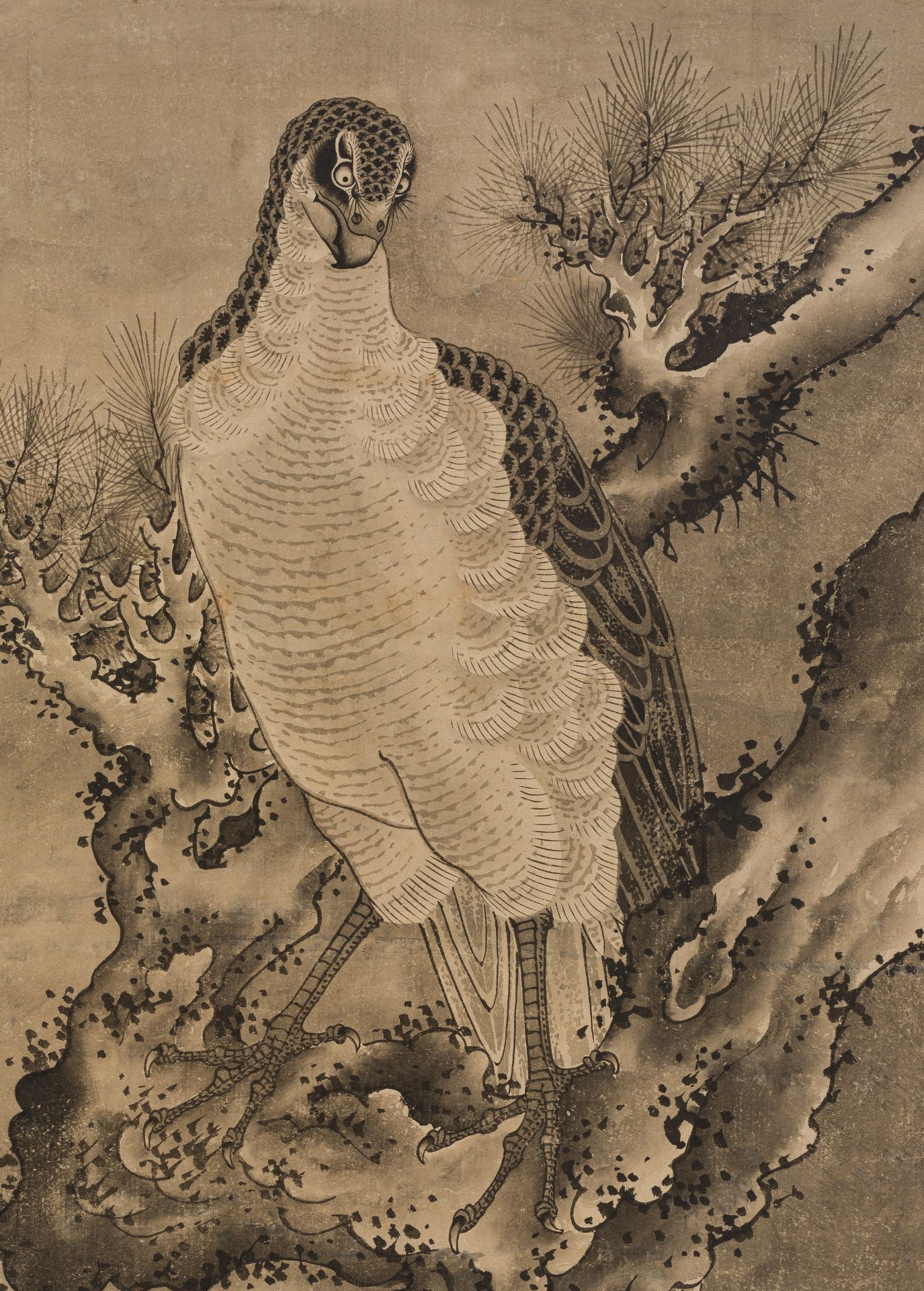 SOGA SHOHAKU (1730-1781): AN IMPORTANT SET OF FIVE SCROLL PAINTINGS WITH BIRDS OF PREY - Image 15 of 33
