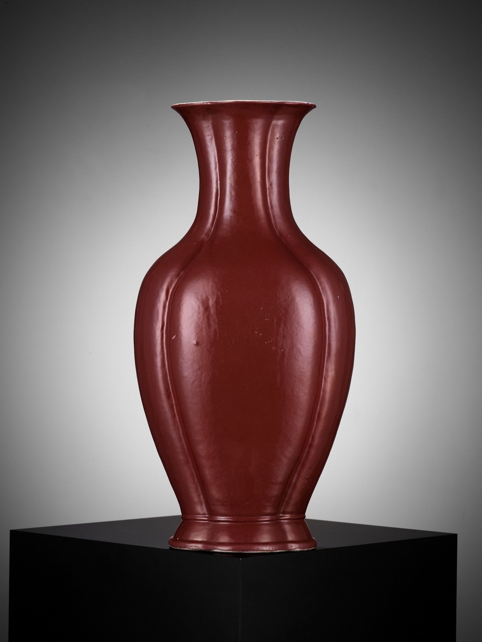 A COPPER-RED GLAZED 'HAITANG' VASE, QING DYNASTY, DAOGUANG PERIOD - Image 9 of 11