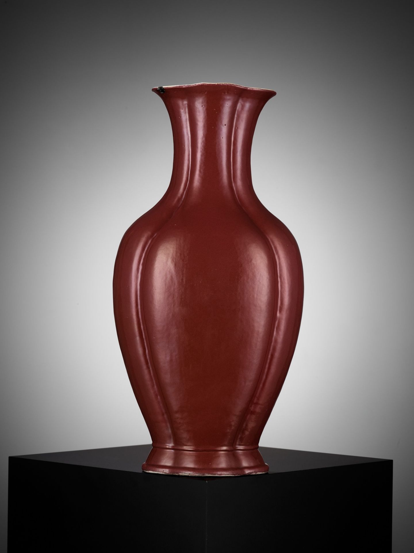 A COPPER-RED GLAZED 'HAITANG' VASE, QING DYNASTY, DAOGUANG PERIOD - Image 7 of 11