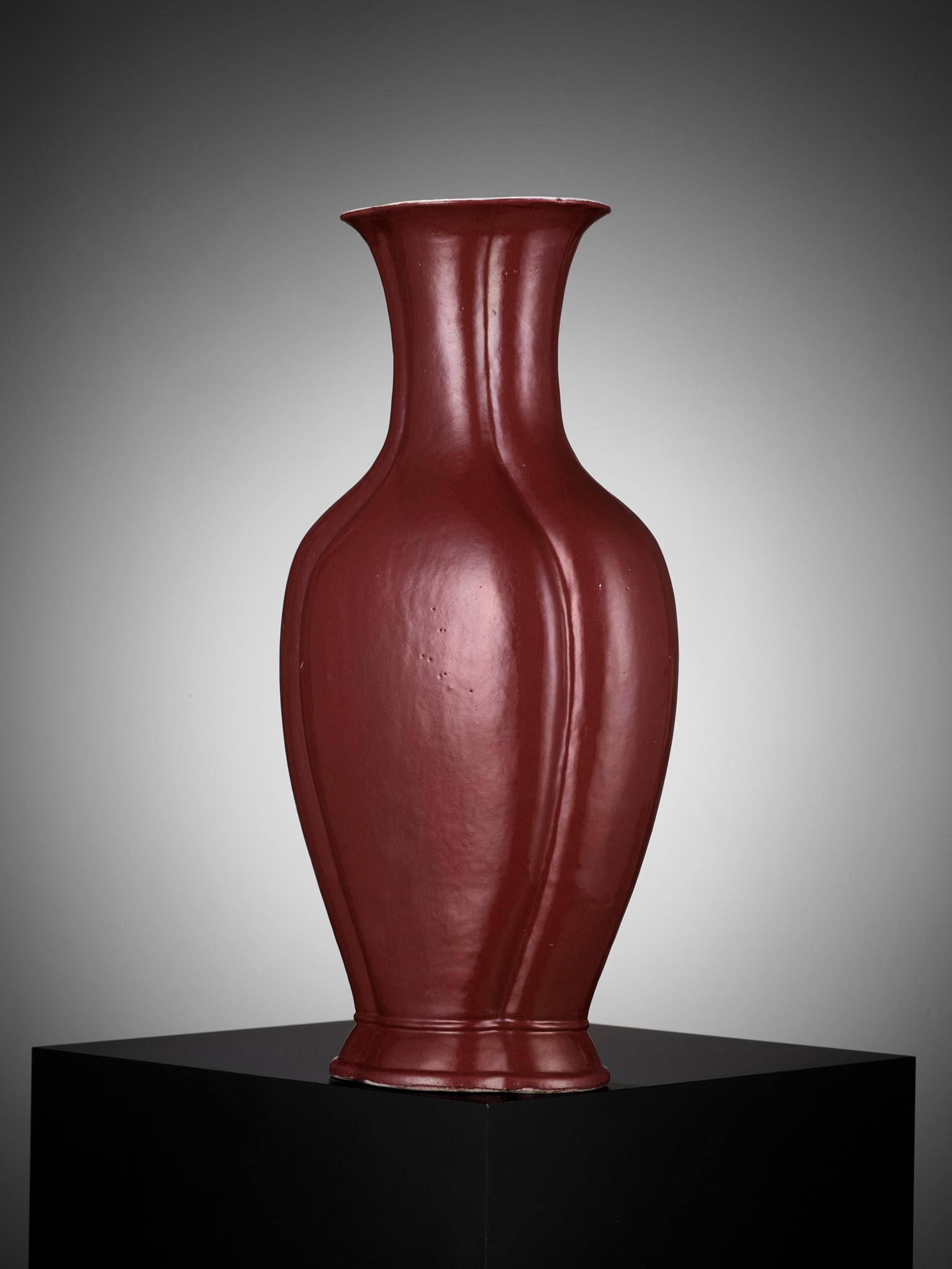 A COPPER-RED GLAZED 'HAITANG' VASE, QING DYNASTY, DAOGUANG PERIOD - Image 3 of 11