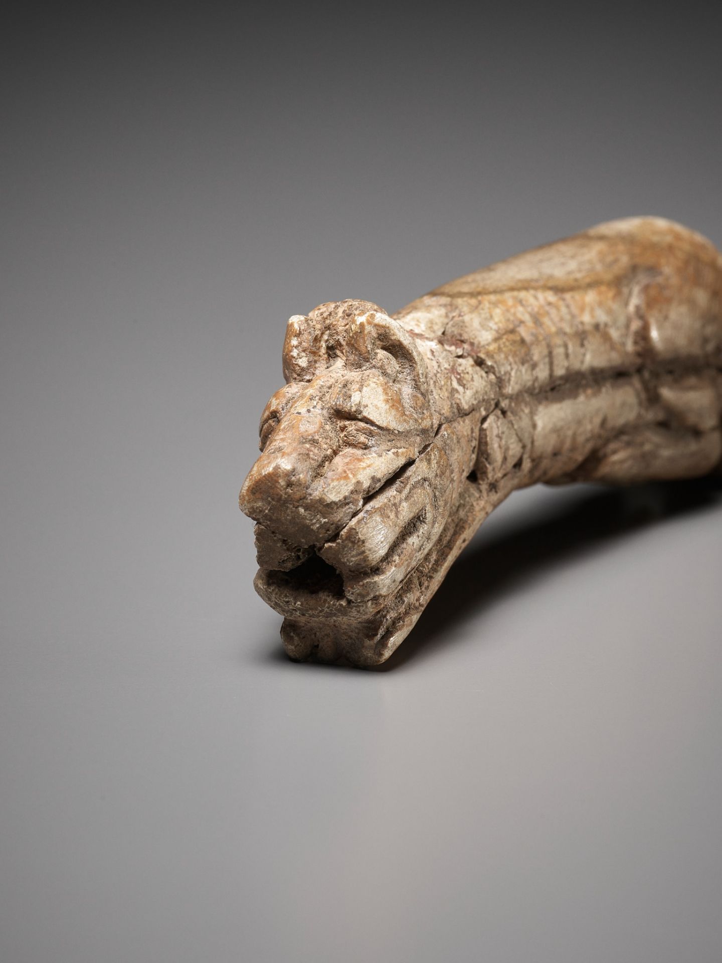 A RARE CARVED BONE FIGURE OF A TIGER, SHANG DYNASTY - Image 17 of 18
