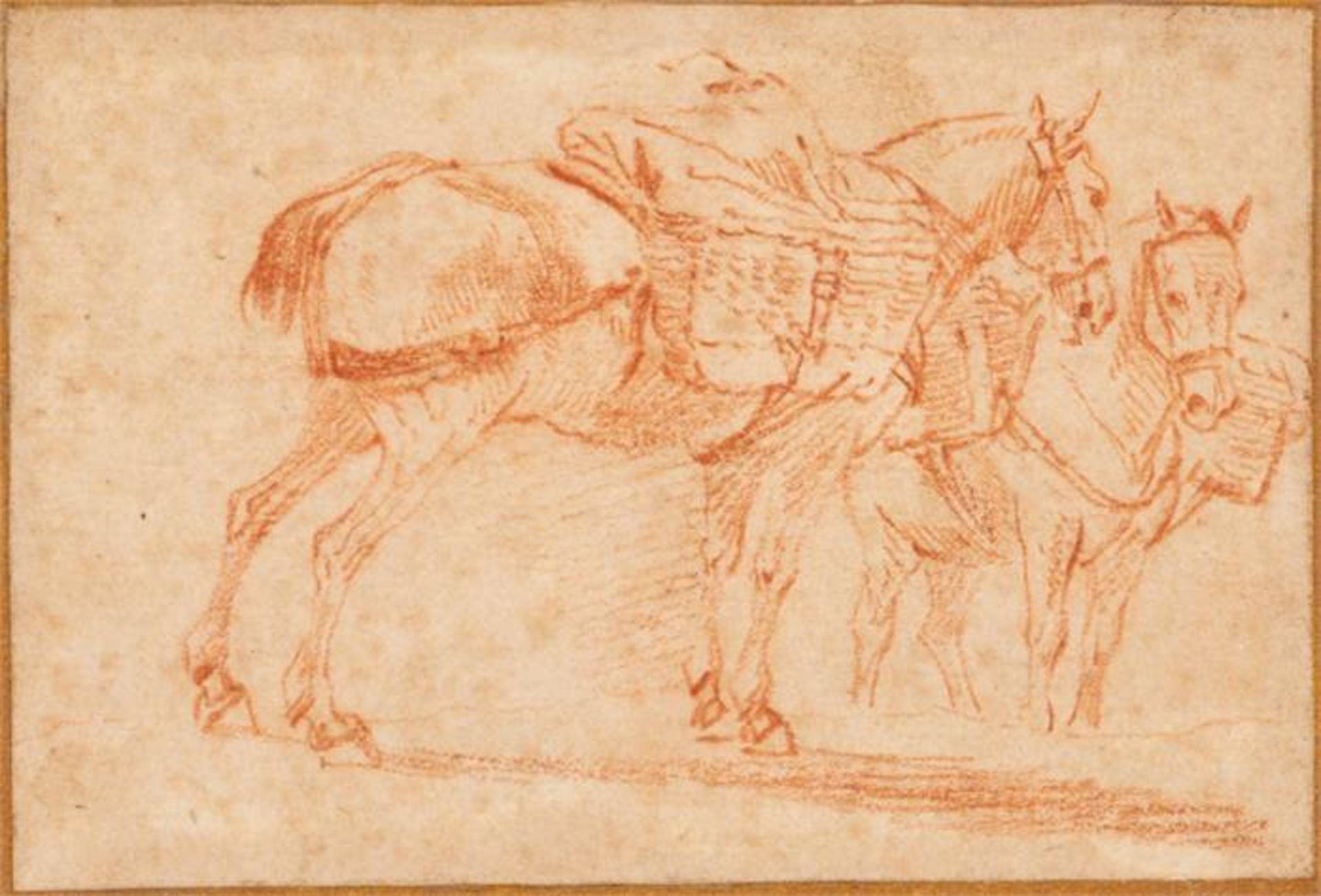 Nicolaes BERCHEM (1620-1683), zugeschrieben, Pferde-Studie, rote Kreide auf Papier