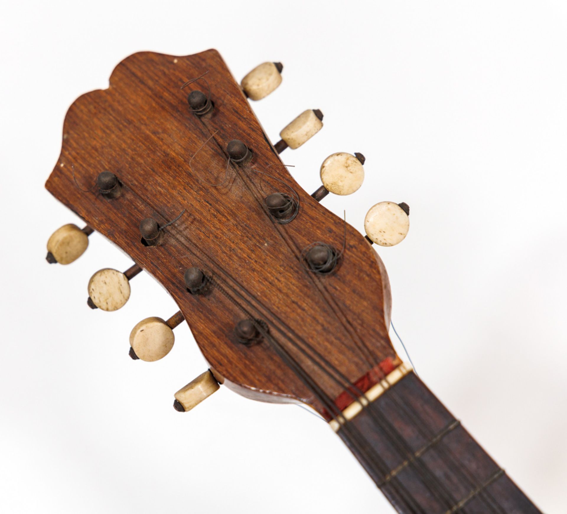 CONVOLUTE OF HISTORICAL CITTERN AND NEAPOLITAN MANDOLIN - Image 11 of 12