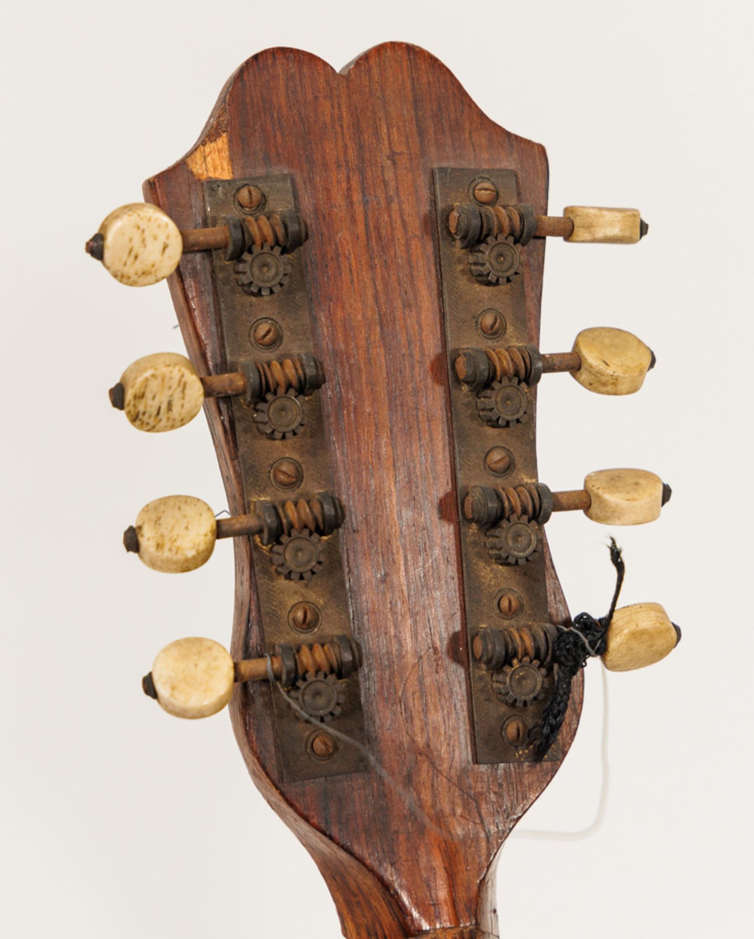 CONVOLUTE OF HISTORICAL CITTERN AND NEAPOLITAN MANDOLIN - Image 12 of 12