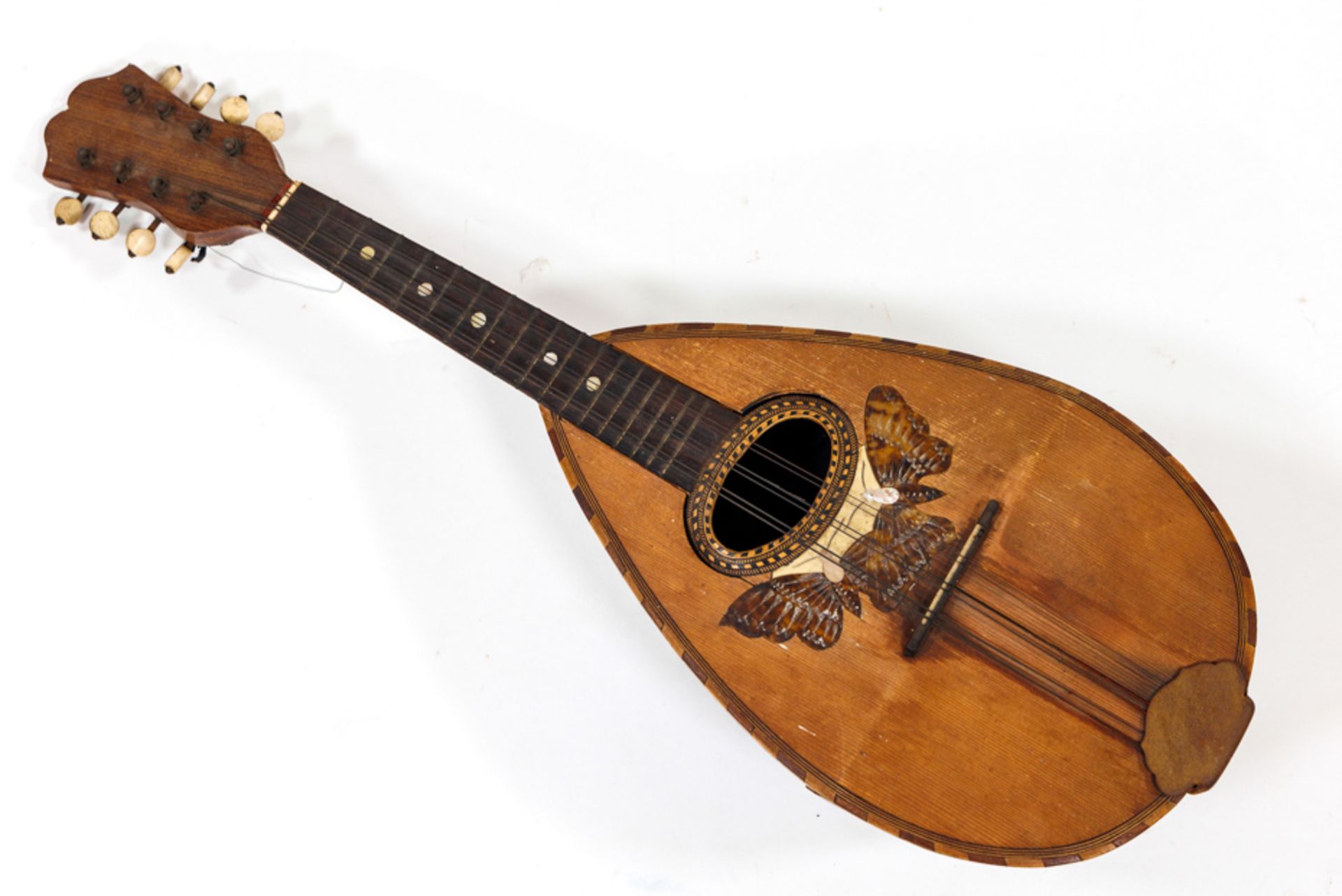 CONVOLUTE OF HISTORICAL CITTERN AND NEAPOLITAN MANDOLIN - Image 7 of 12