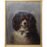 Thomas William Earl (1836-1885) - Cavalier King with blue ribbon around his neck