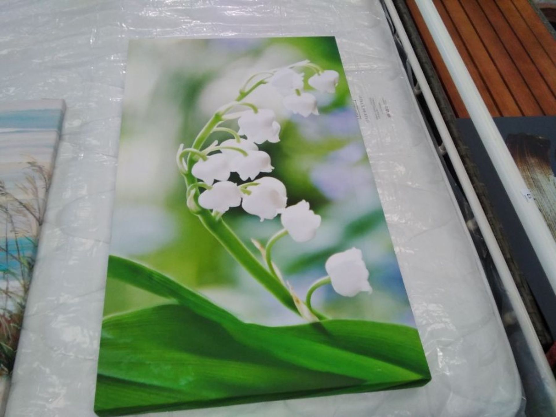 Ebern Designs,Lily Of The Valley - Wrapped Canvas