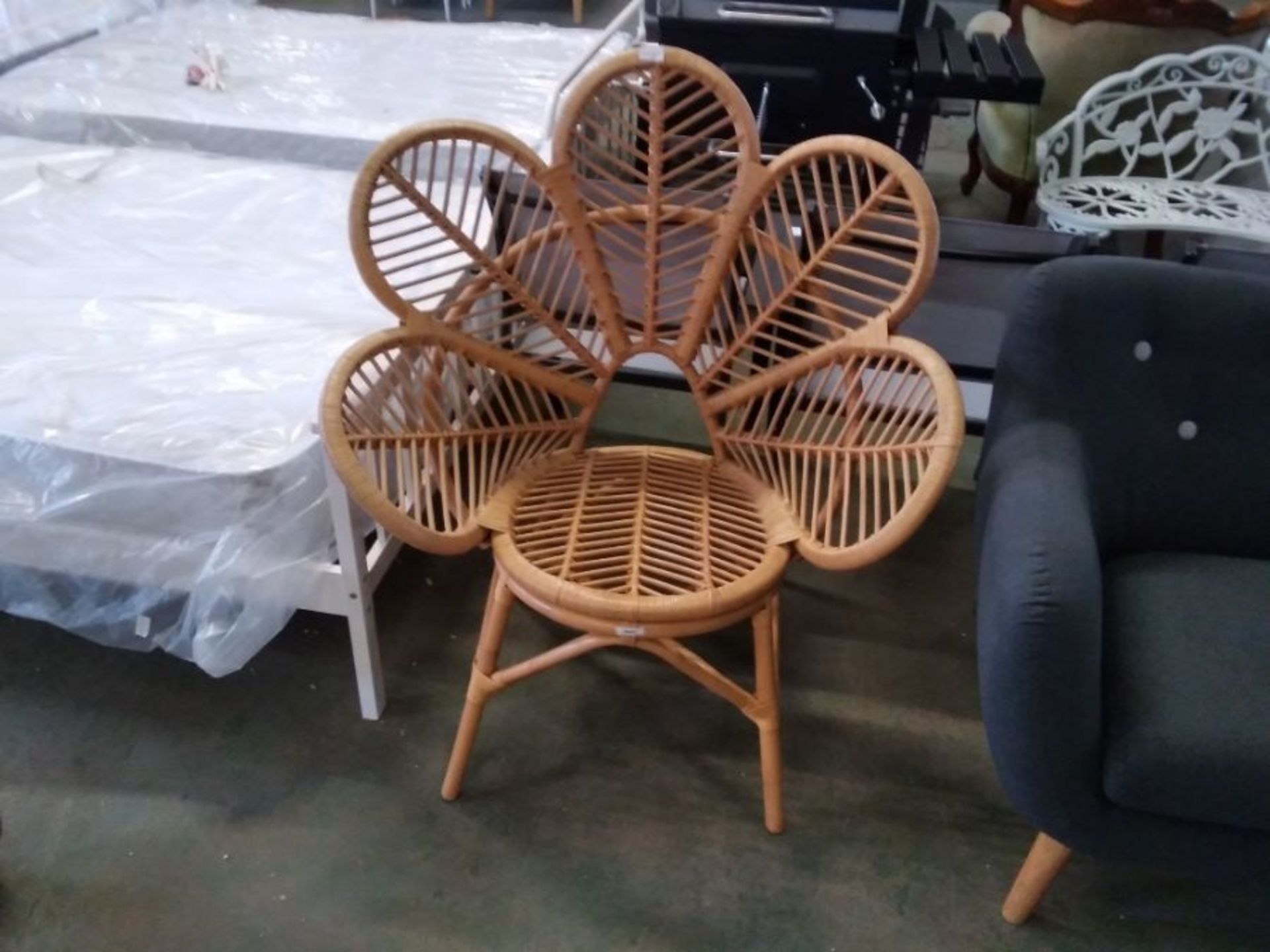 Bay Isle Home,Catria Papasan Chair (U003370098) RR