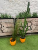 2no. Imitation Plants, Cactus & Sea Grass Plants Complete With Plant Pots 1430mm High