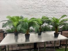 4no. Palm Tree Imitation Plants