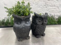 Counter Top Stone Owl Decorative Plant Pot Complete With Imitation Plants