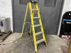 Youngmans 6-tread Fibreglass Ladder