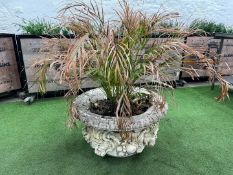 Stone Decorative Plant Pot 800 x 500mm