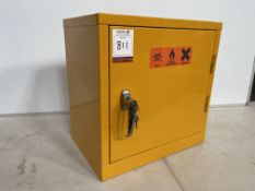 Lockable Hazardous Liquid Cabinet 400 x 400mm & Contents