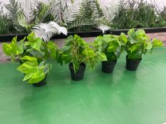 4no. Imitation Fiddle Leaf Plants Complete With Pots, 230mm High