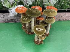 6no. Mrs. Alice Mixed Mushrooms Sizes & Colours Vary