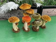 5no. Mrs. Alice Mixed Mushrooms Sizes & Colours Vary