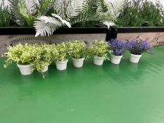 7no. Imitation Coloured Potted Plants Complete with Pots, 105mm High, Colours Vary