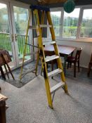 Fibre Glass 5-Tread Fold Out Step Ladder as Lotted , Please Note: The Purchaser is Required to