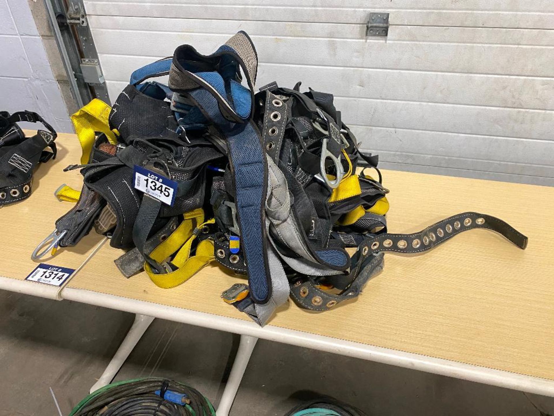 Lot of (10) Asst. Harnesses - Image 2 of 3